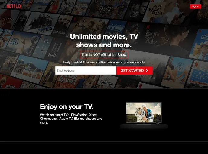 screenshot of React TypeScript NetShow
