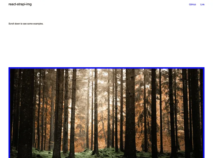 screenshot of React Strapi Img