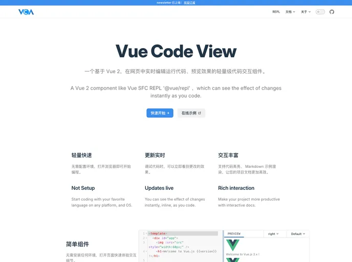Vue Code View