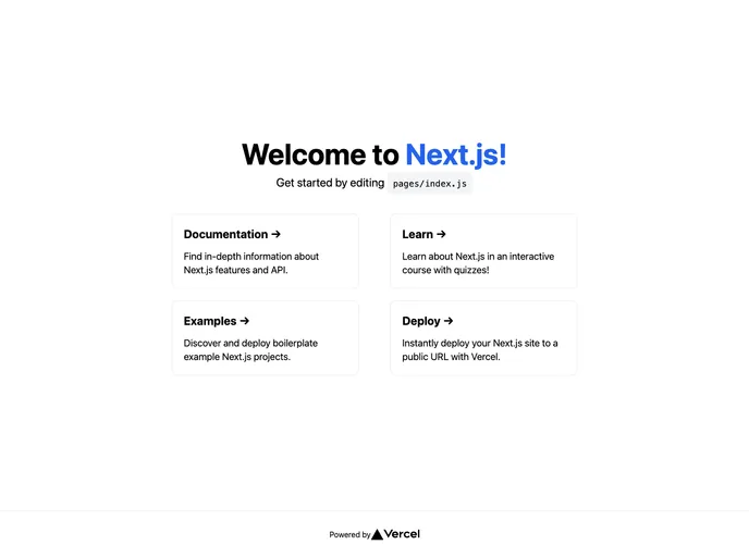 screenshot of Next Starter