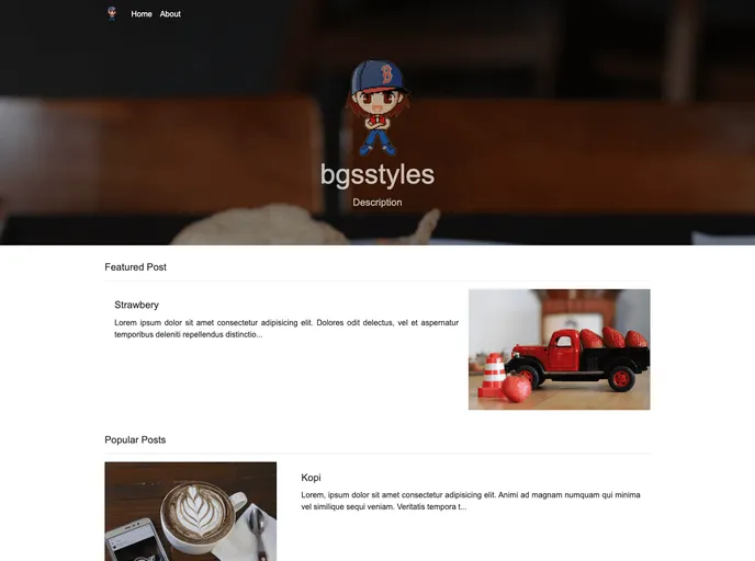 screenshot of Bgsstyles