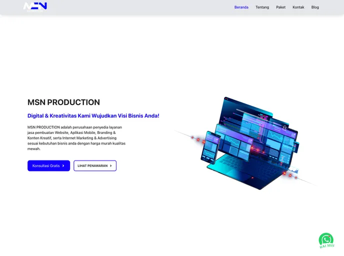screenshot of Msnproduction.com