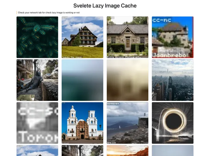 screenshot of Svelte Lazyimage Cache