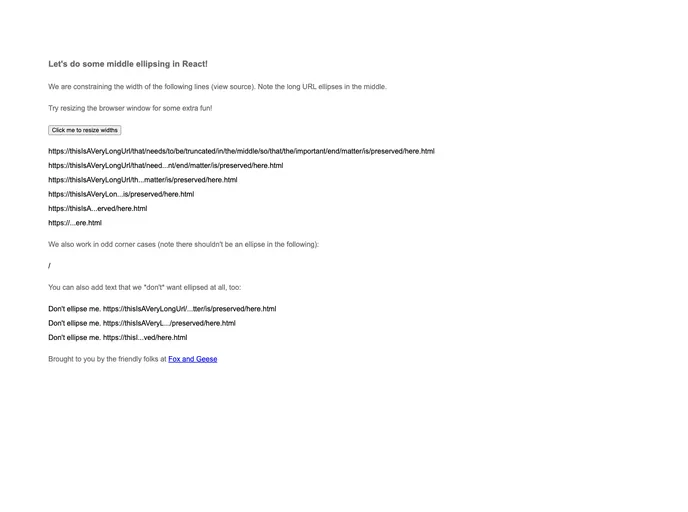 React Middle Ellipsis screenshot