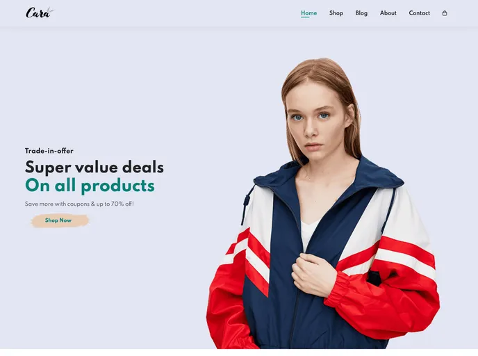 screenshot of Ecommerce Website Html Css