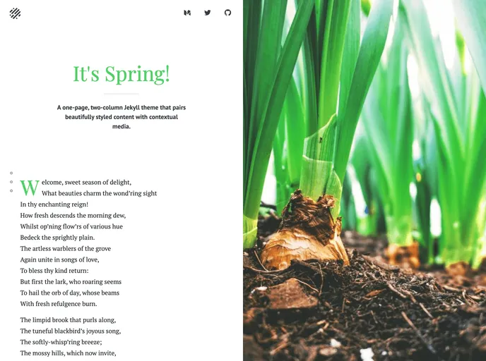 screenshot of Spring