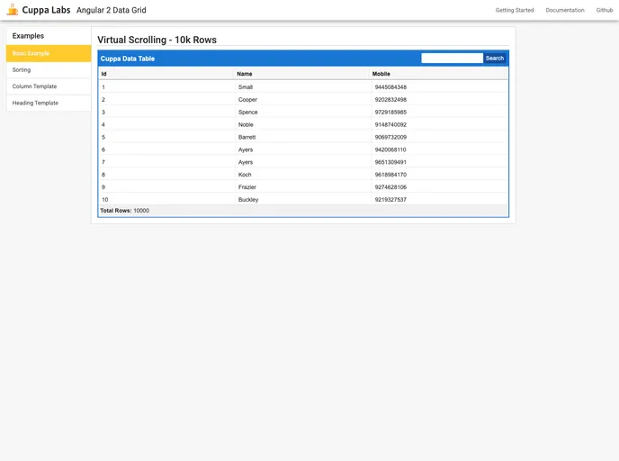 screenshot of Angular2 DataGrid