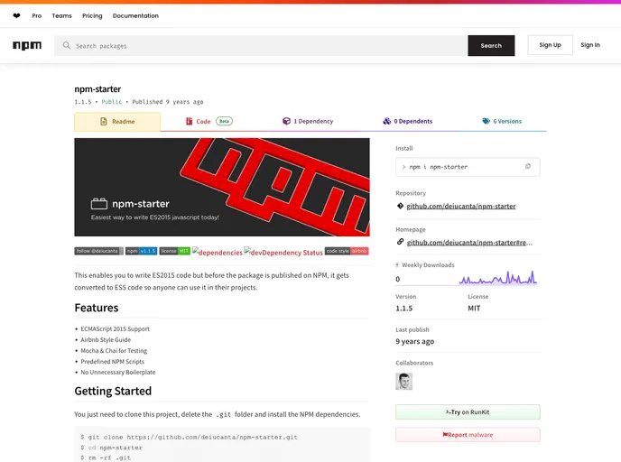 screenshot of Npm Starter