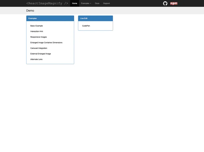 screenshot of React Image Magnify