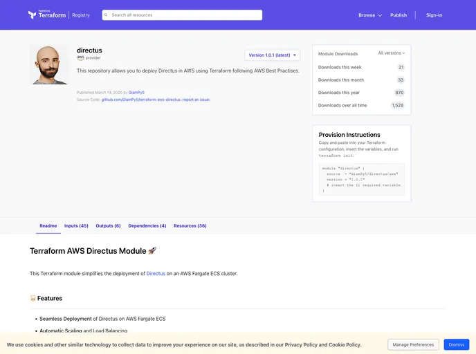 screenshot of Terraform Aws Directus