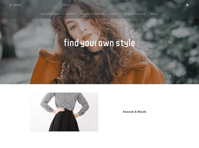screenshot of E Shop