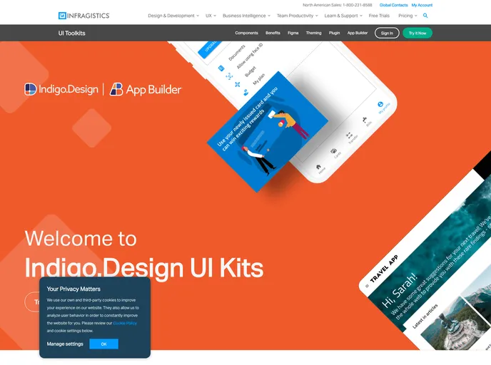 screenshot of Igniteui Angular UI Kits