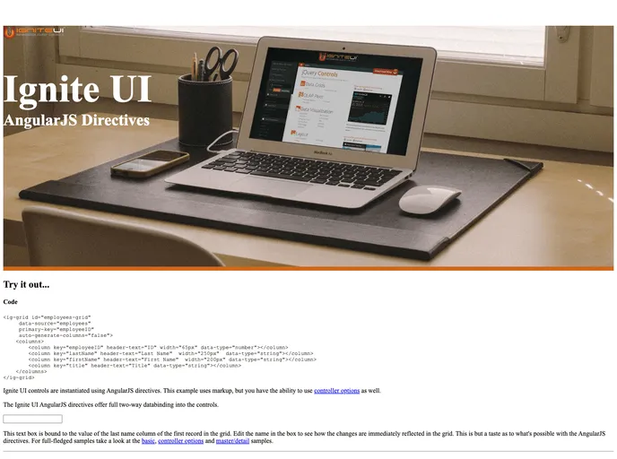 screenshot of Igniteui Angularjs