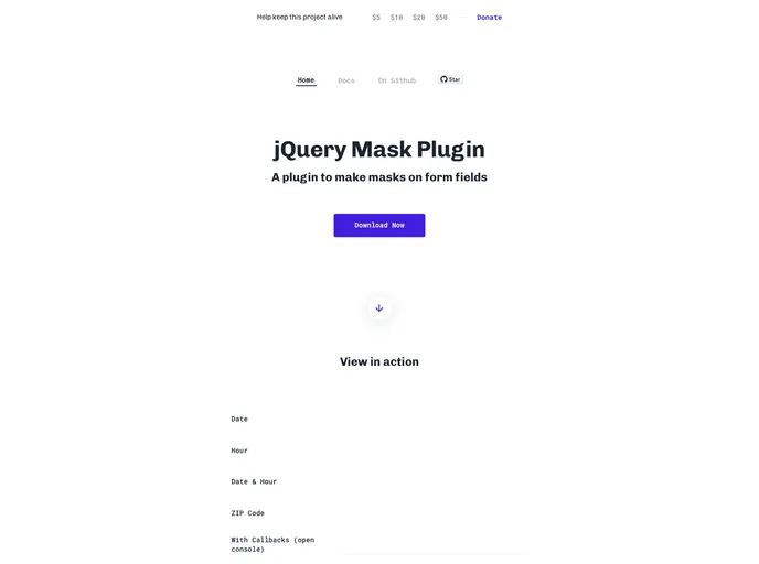 screenshot of JQuery Mask Plugin