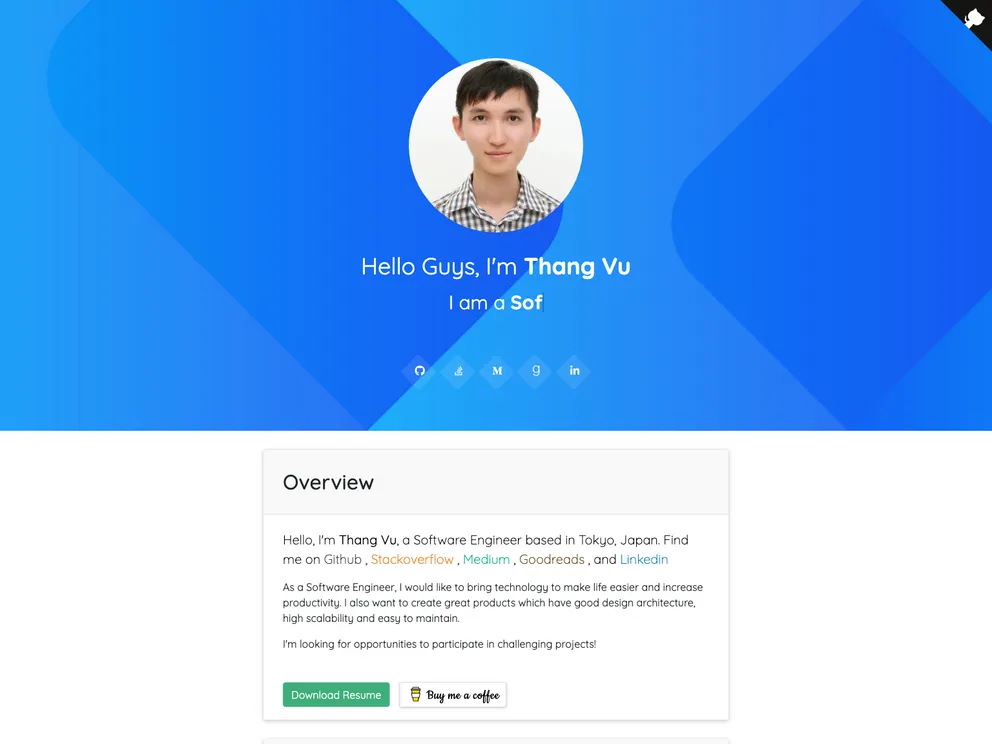 screenshot of Vue Developer Profile
