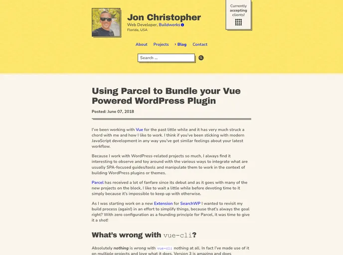 screenshot of Parcel Vue Bundler