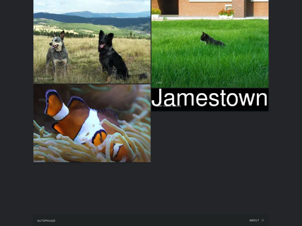 screenshot of Autophugo