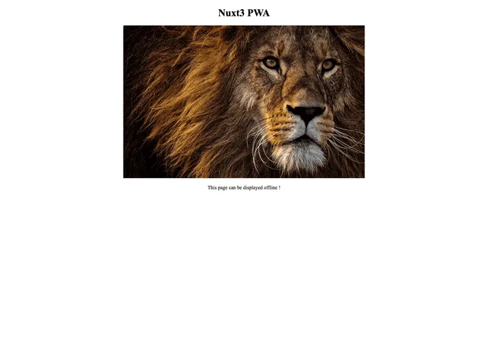 screenshot of Nuxt3 Pwa