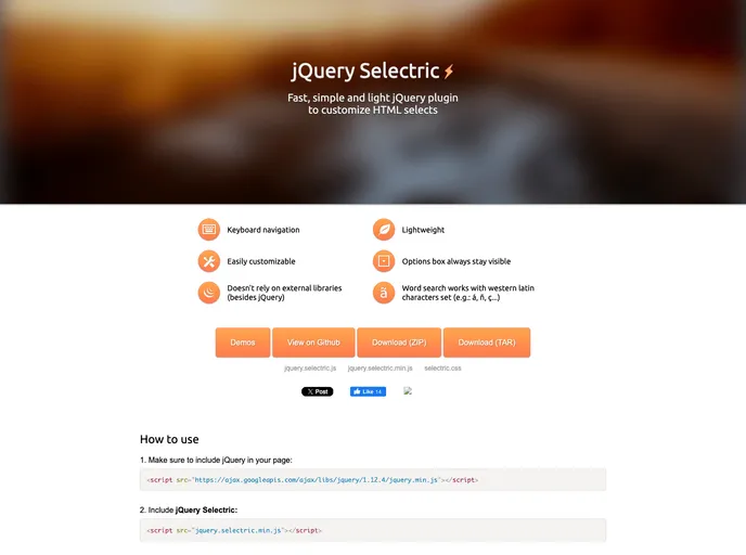 screenshot of JQuery Selectric