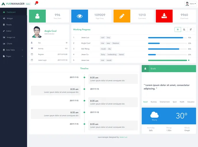 screenshot of Vue Manager