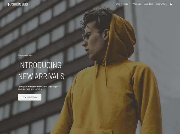 screenshot of Responsive E Commerce Web Site UI
