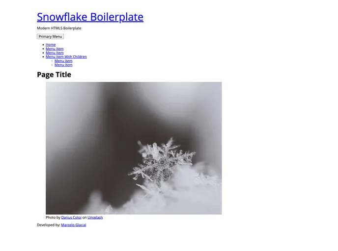 screenshot of Snowflake Boilerplate