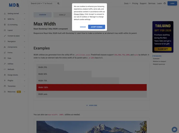 screenshot of React Max Width