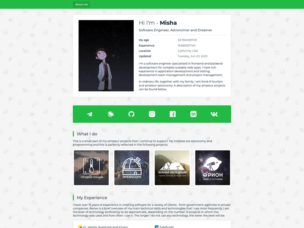 Developer Portfolio Website screenshot