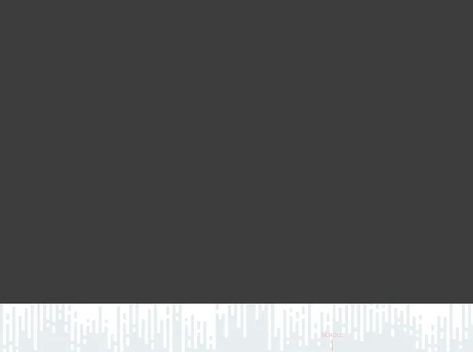 screenshot of MiroWPTheme