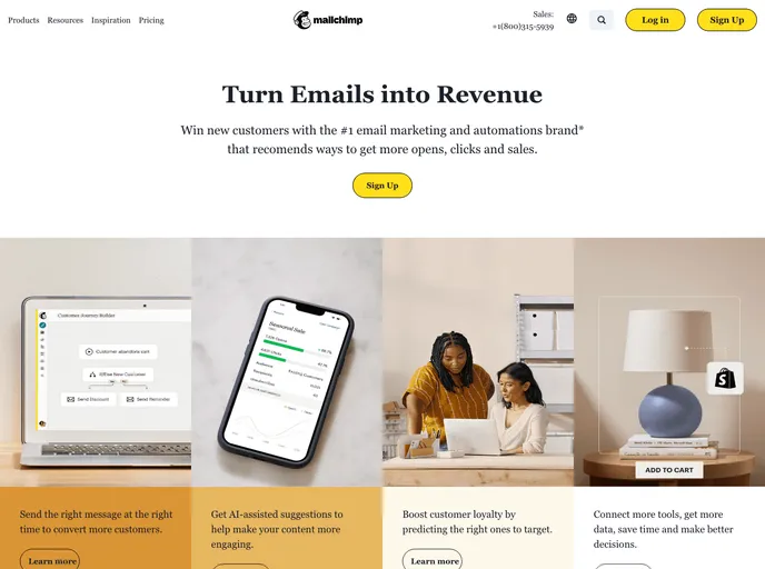 screenshot of MailChimp Store