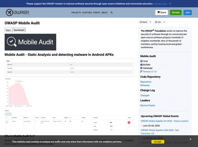 screenshot of MobileAudit