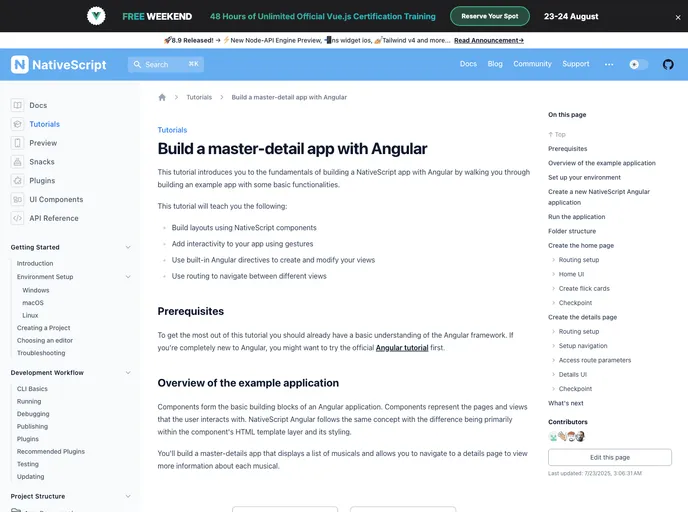 screenshot of Angular