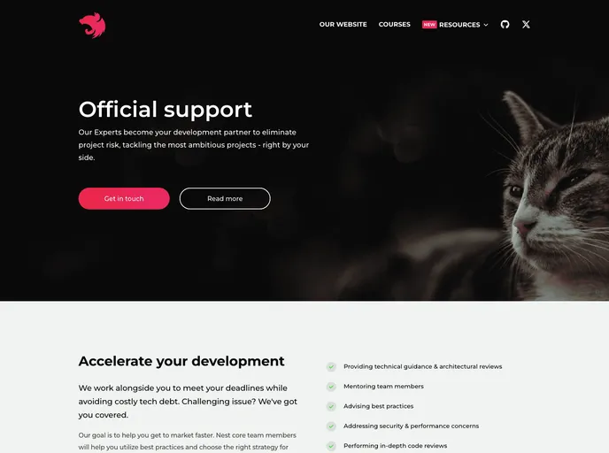screenshot of Enterprise.nestjs.com