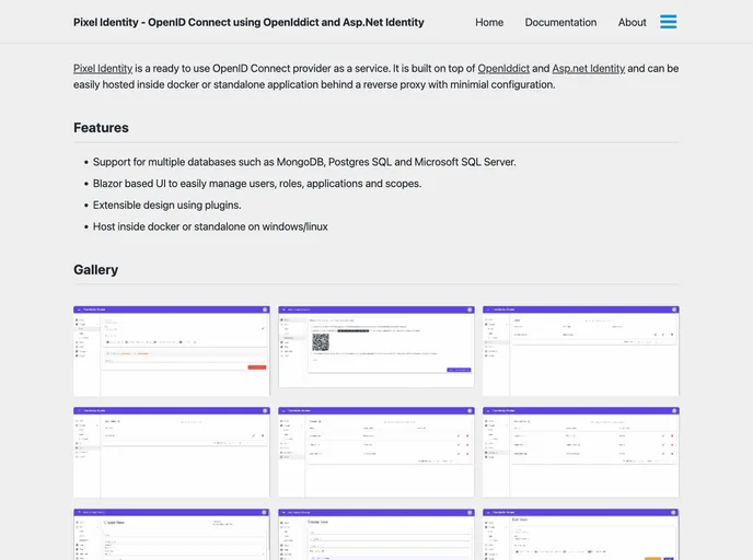 screenshot of Pixel Identity