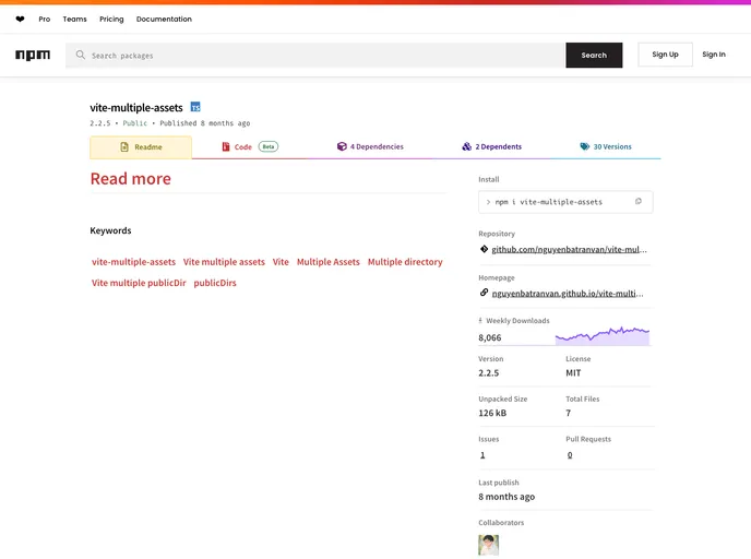 screenshot of Vite Multiple Assets