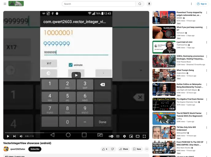 screenshot of VectorIntegerView