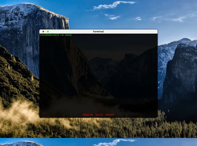 screenshot of PortfolioInTerminal