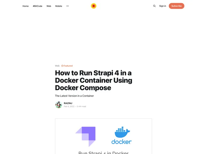 screenshot of Strapi Docker Starter
