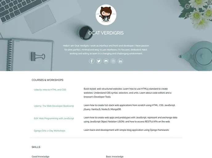 screenshot of HTML CSS CV Demo