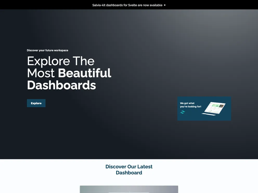 screenshot of Salvia Kit