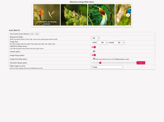 screenshot of Ng Image Slider