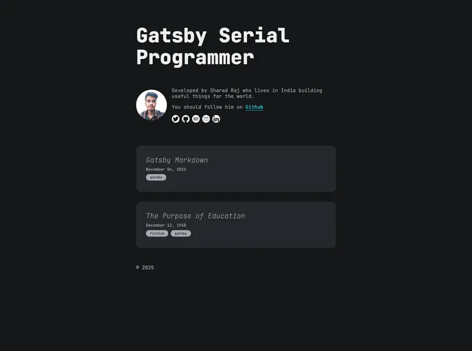 screenshot of Gatsby Theme Serial Programmer