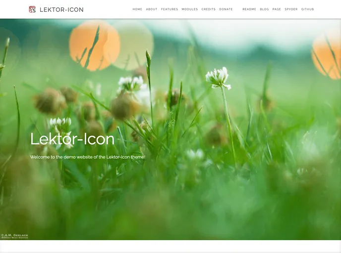 screenshot of Lektor Icon