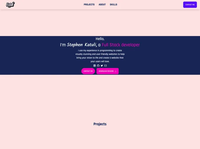 screenshot of Professional Portfolio