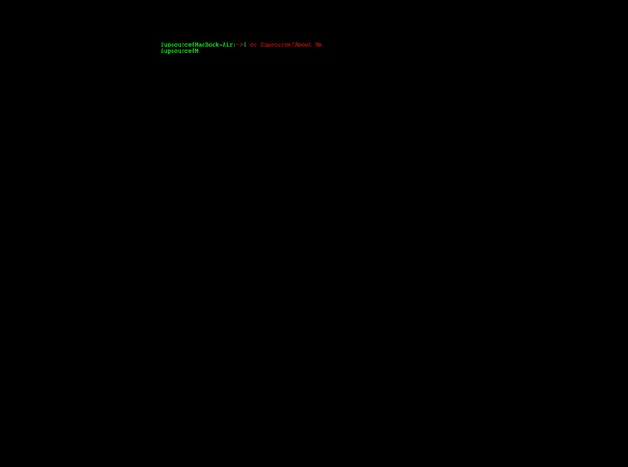 screenshot of Terminal Portfolio