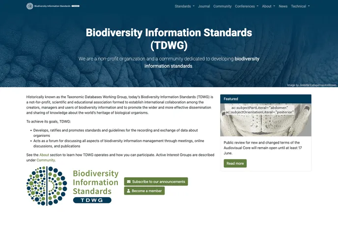 screenshot of Website