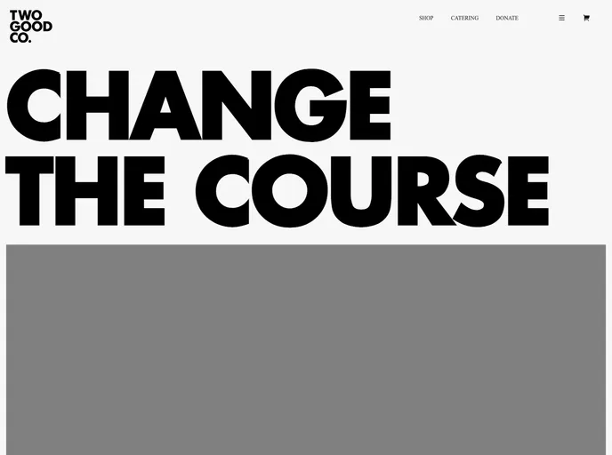 screenshot of Two_good_.co