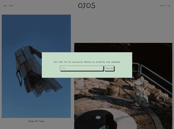 screenshot of Shopify Ecommerce