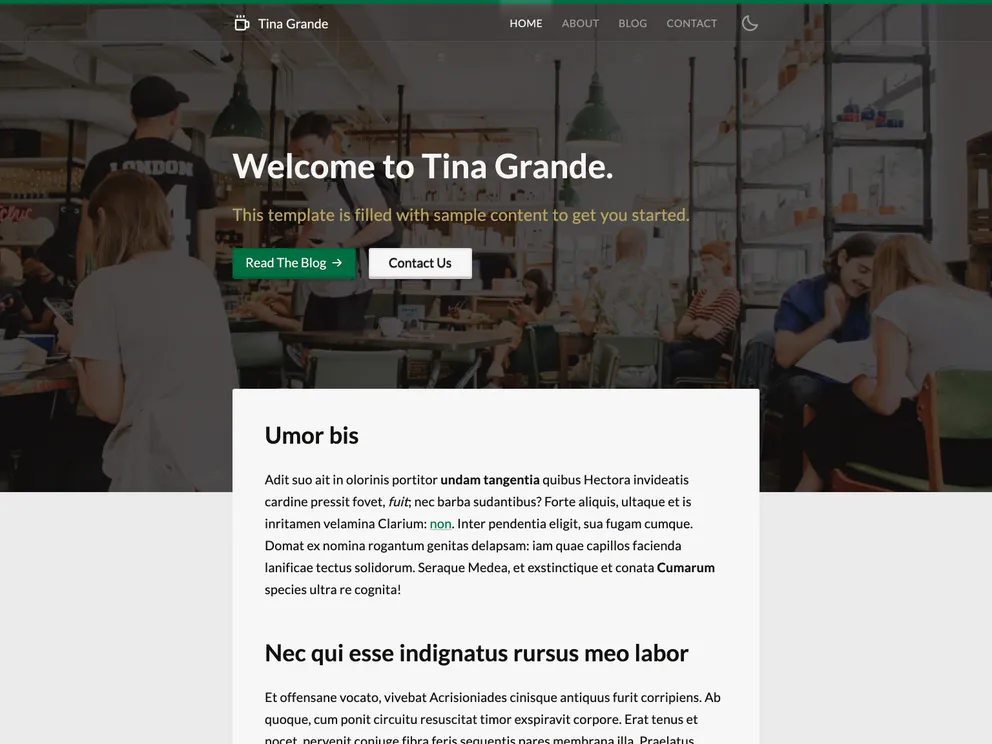 screenshot of Tina Starter Grande