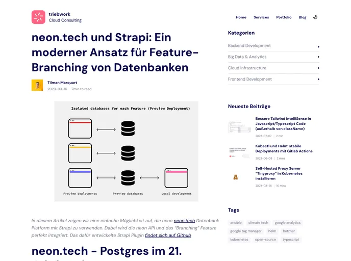 screenshot of Strapi Neon Tech Db Branches